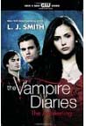 Vampire-Diaries-The-Awakening